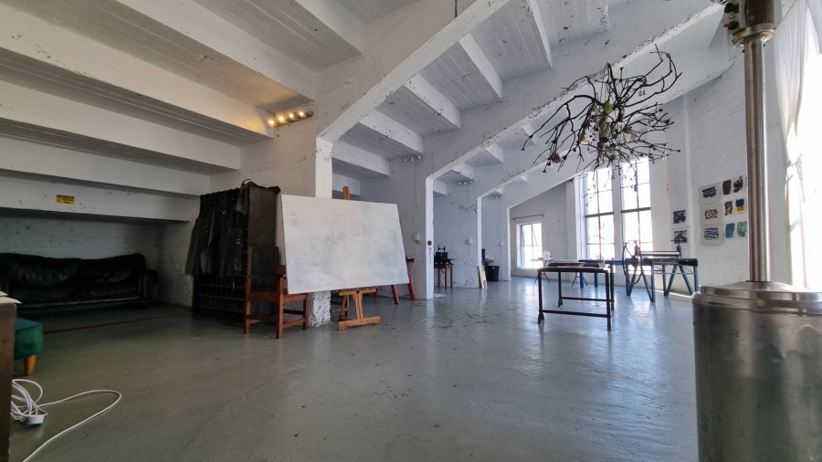 To Let commercial Property for Rent in Observatory Western Cape